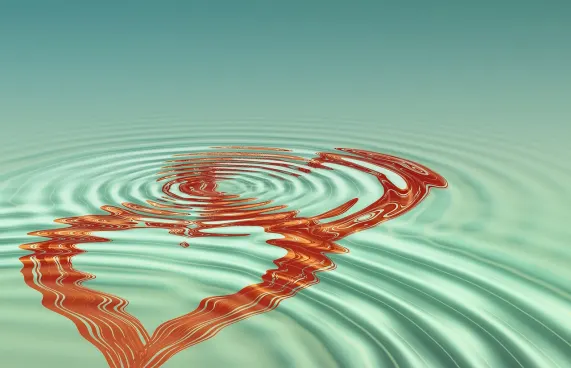 Casollo Kaszinó Támogatás